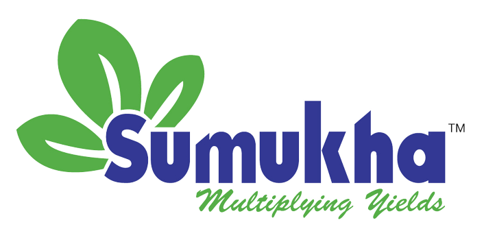 Logo1-removebg